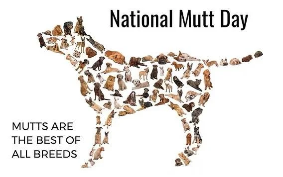 Today is National Mutt Day — a day to appreciate the mixed-breed dogs that bring so much heart, personality, and love into our lives. 🐾
They might not come with a breed label, but they’ve got something better: loyalty, charm, and a sto