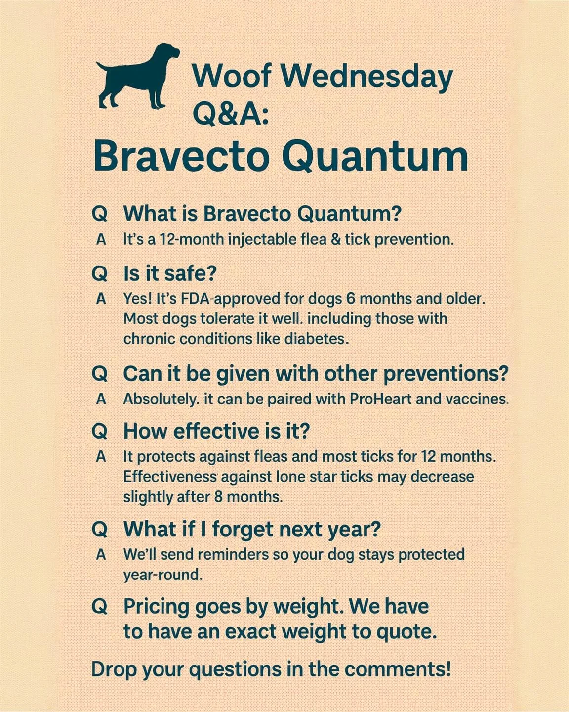 We’re answering all your Bravecto Quantum questions today — what do you want to know? 💬🐾