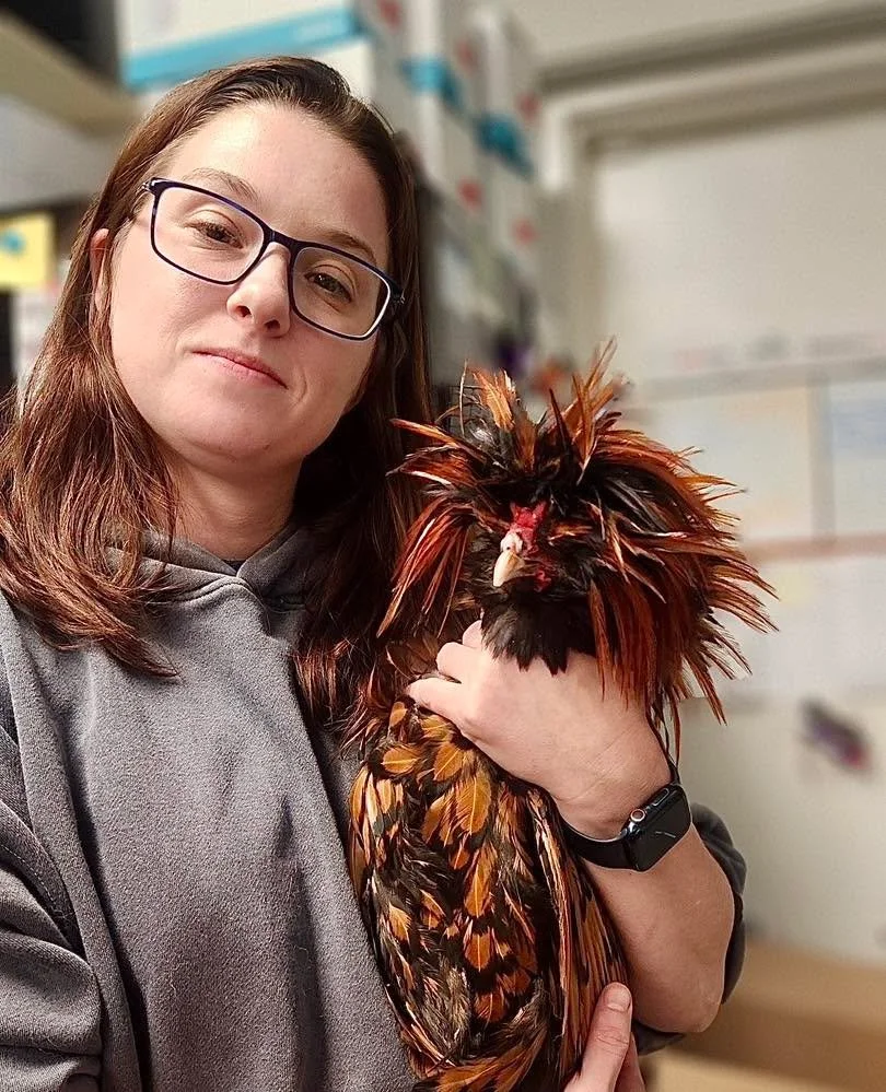 Diagnosis: extreme bedhead ๐ ๐