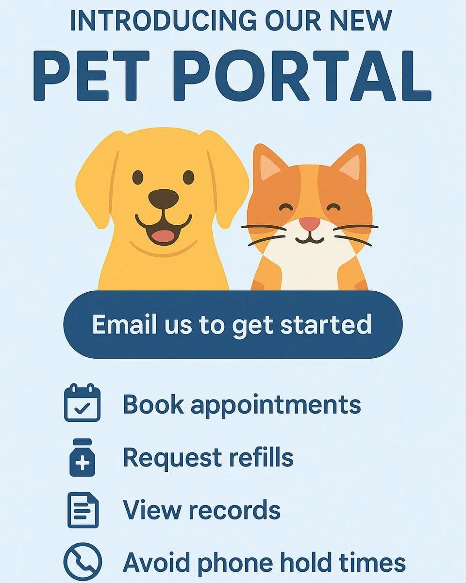 No more waiting on hold—our new portal makes pet care simple and stress-free!
โจ With just a few clicks you can:
• Request appointments
• Refill prescriptions
• Check vaccine & medical records
• View test results and mo