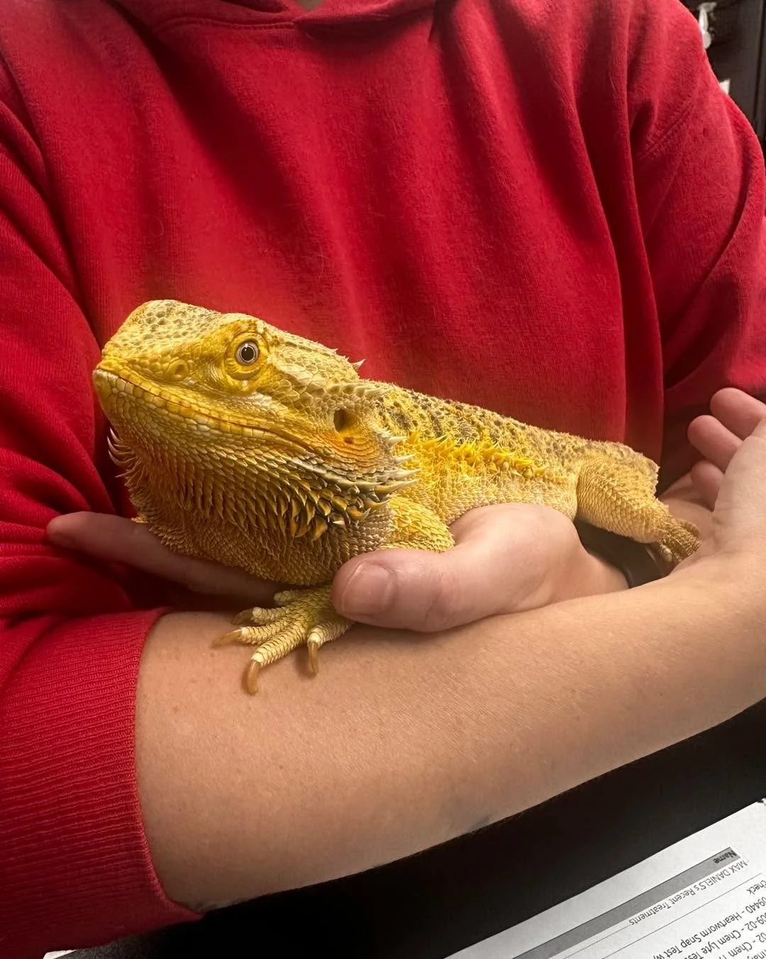 Scales, tails, and wellness exams ๐ฉบ๐