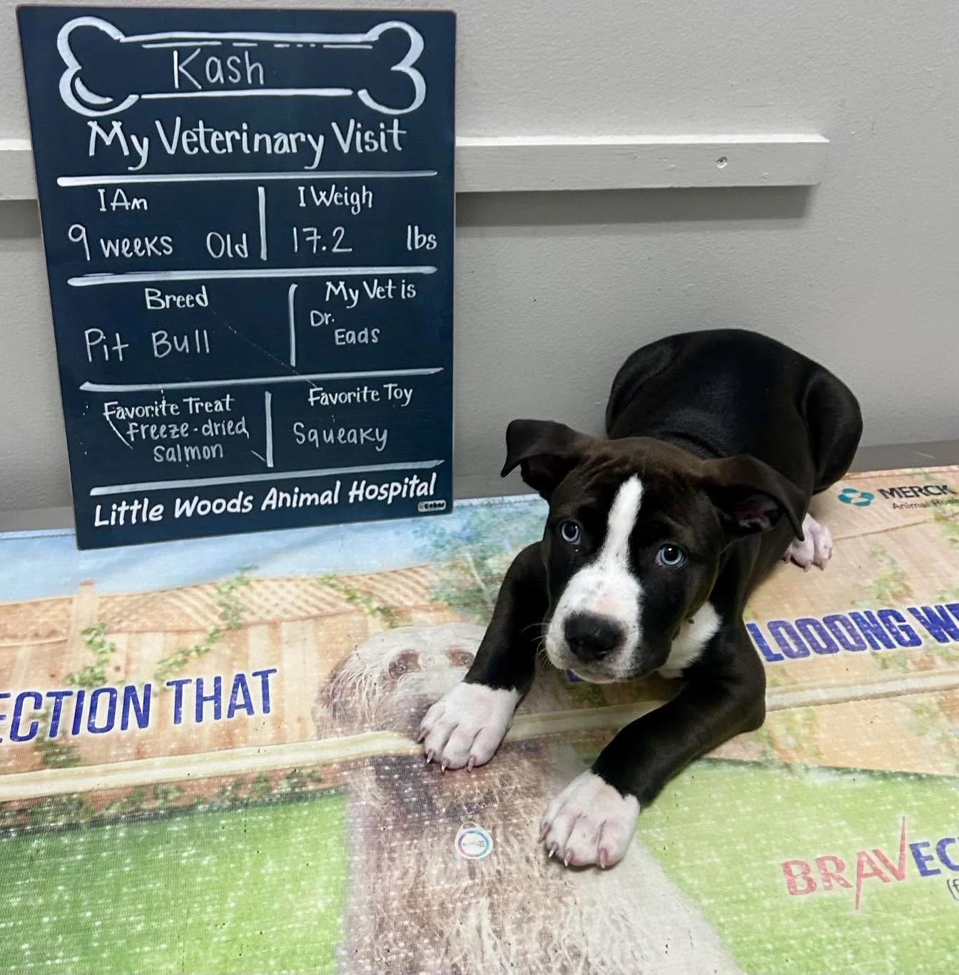 We don’t always get patients this handsome… but when we do, we brag ๐