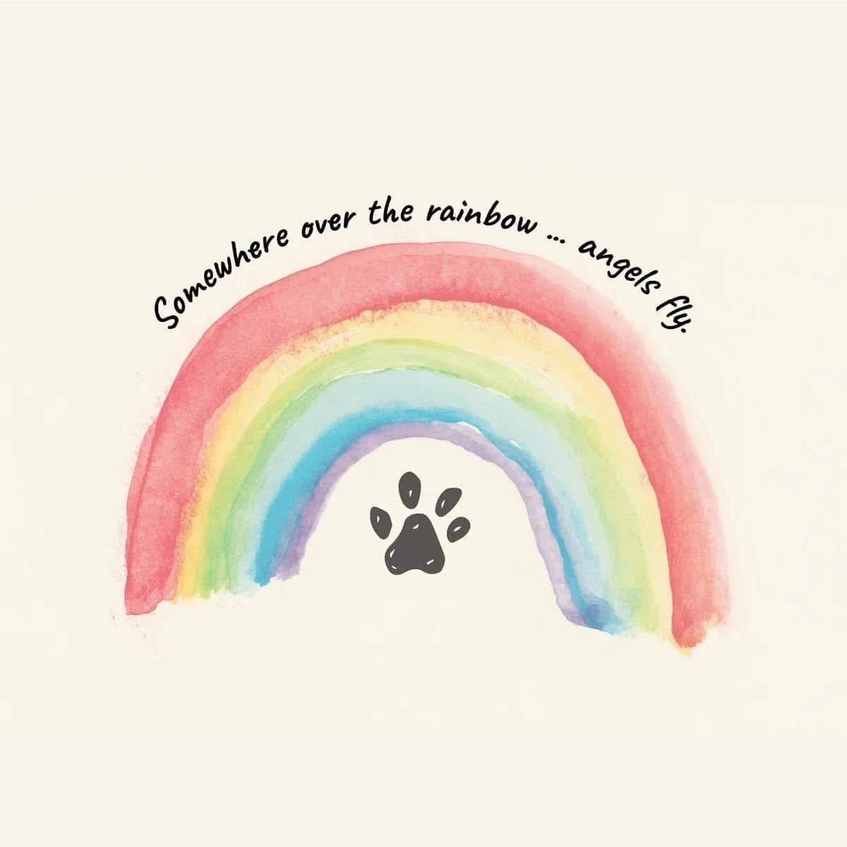 ๐โจ Rainbow Bridge Memorial Day โจ๐
Today, we honor the pets who touched our lives in the most special ways. ๐พ Whether it was a wagging tail, a gentle purr, or just the comfort of their presence, their love never leaves us. ๐
We’d love for y