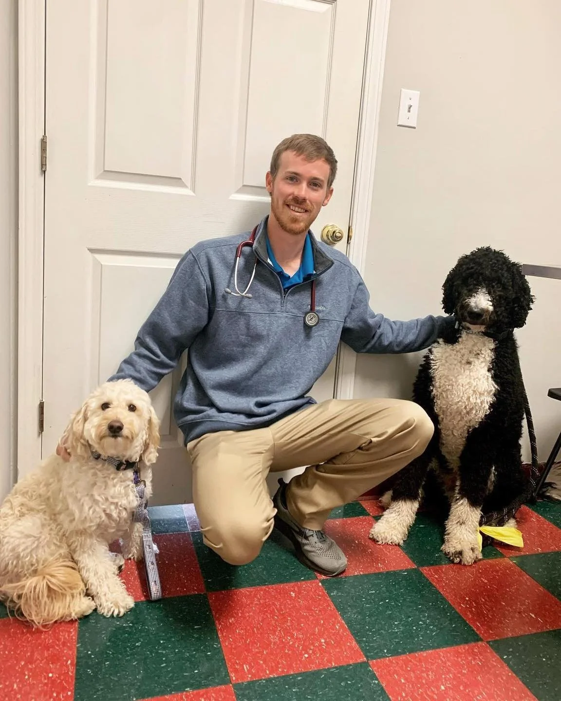 Meet Our Veterinary Team! ๐ Our doctors rotate between Little Woods and Timber Trails so you’ll always see familiar faces at both clinics. Hopefully this makes it easier to keep track of your favorite veterinarian. ๐พ
Little Woods Animal Hosp