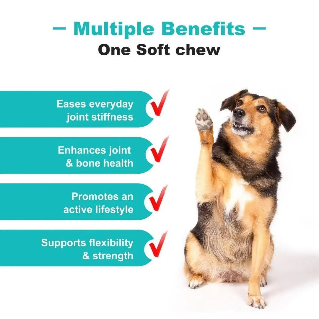 π Topic Tuesday: Joint Health for Pets π
Joint supplements aren’t just for older pets—starting them young can help protect joints before stiffness or soreness ever shows up. πΎ Preventive care is one of the best ways to keep your pet a
