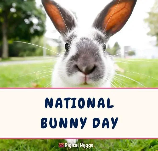 π°πΏ Happy National Bunny Day! πΏπ°
Today we celebrate our floppy-eared friends who bring so much joy to our lives! Did you know that rabbits are the third most popular pet in the U.S. after dogs and cats?
Here are a few fun bunny facts:
β
Their te