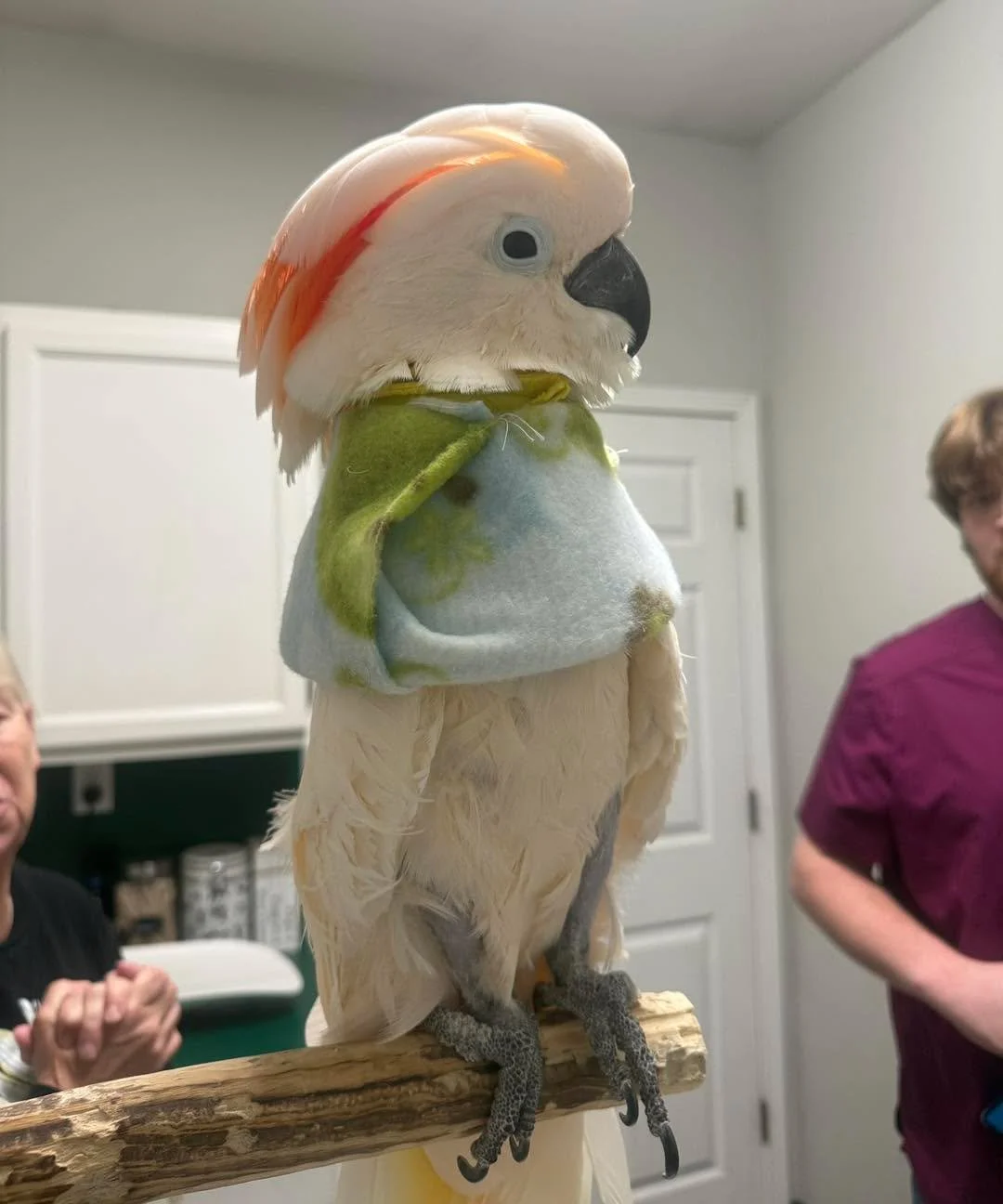 Everyone in the clinic stopped what they were doing to admire this guy — and honestly, can you blame us? π€©