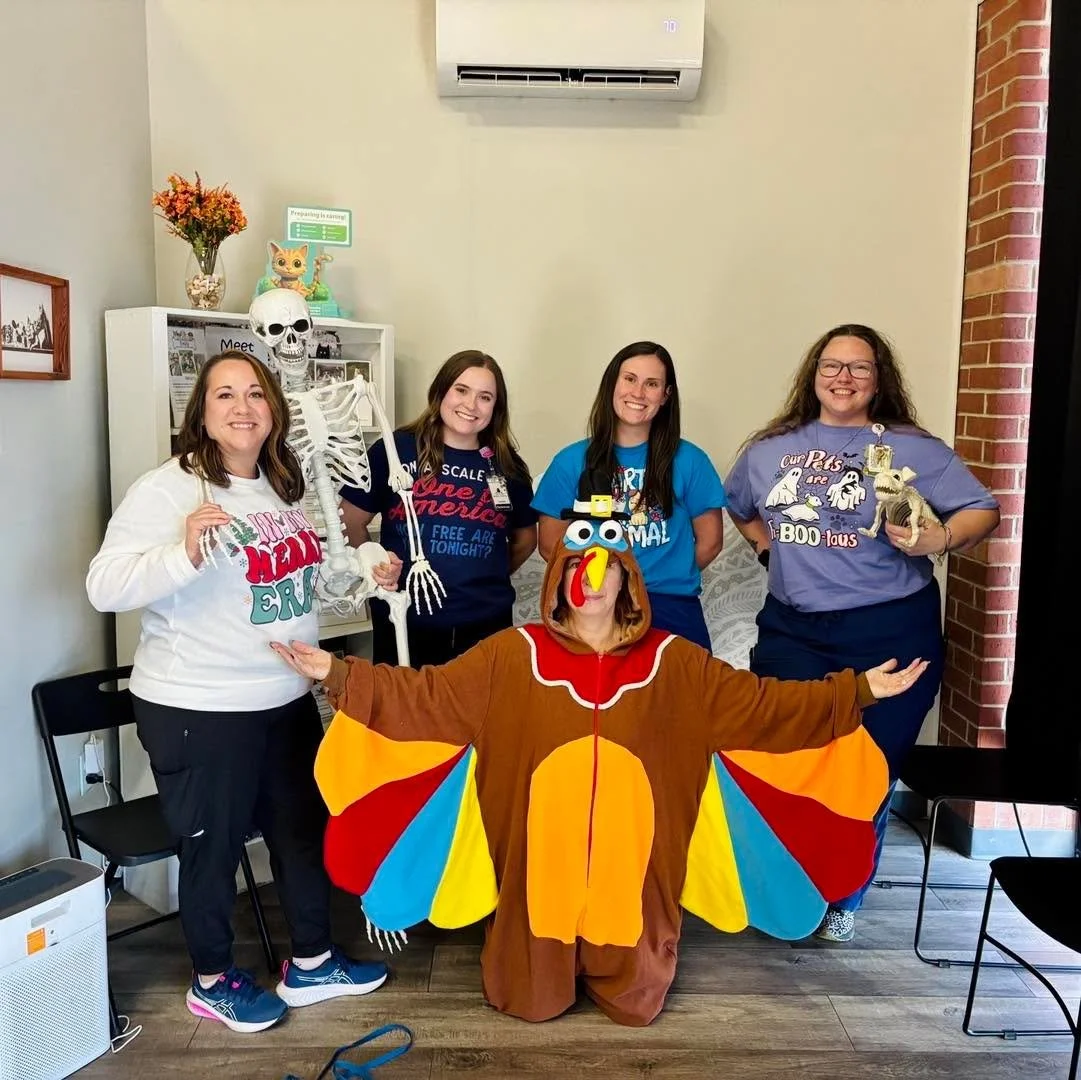 Every holiday rolled into one day — count us in! 🎉 Our team showed up ready for Holiday Day, and the outfits did not disappoint!