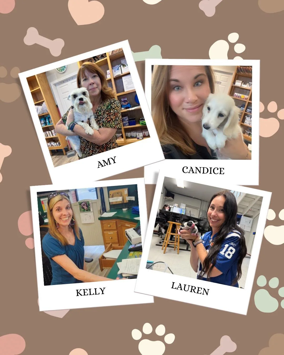 Have you ever really stopped to think about what our receptionists do in a day? 💥 
They’re the friendly faces that greet you, the calm voices on the phone when you’re worried about your pet, and the ones holding everything together when