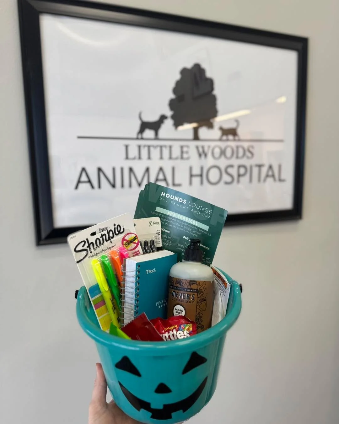 Nothing better than supporting local!  Huge thanks to houndsloungenlr for the Halloween goodies! 👻 🐾🎃