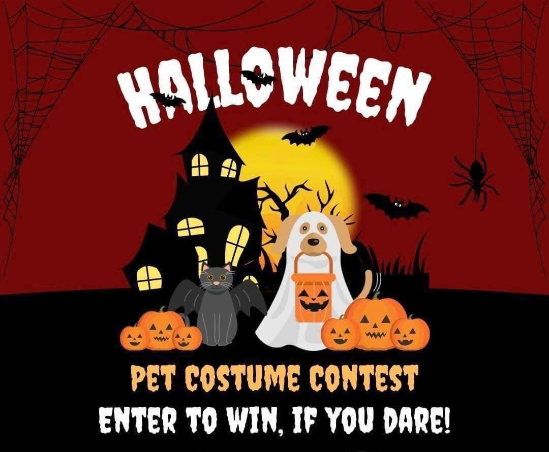 🎃🐾 It’s Time for Our Annual Halloween Pet Costume Contest! 🐾🎃
Ready to show off your pet’s spookiest or silliest Halloween costume? Whether they’re furry, feathered, or scaly, we want to see them!
📅 Submit your pet’s ph