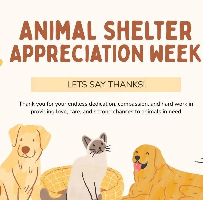 🐾 It&rsquo;s Animal Shelter &amp; Rescue Appreciation Week! 🐾

This week we celebrate the heroes who rarely ask for recognition &mdash; the shelter and rescue staff, fosters, and volunteers who pour their hearts into caring for animals in need. ❤️

