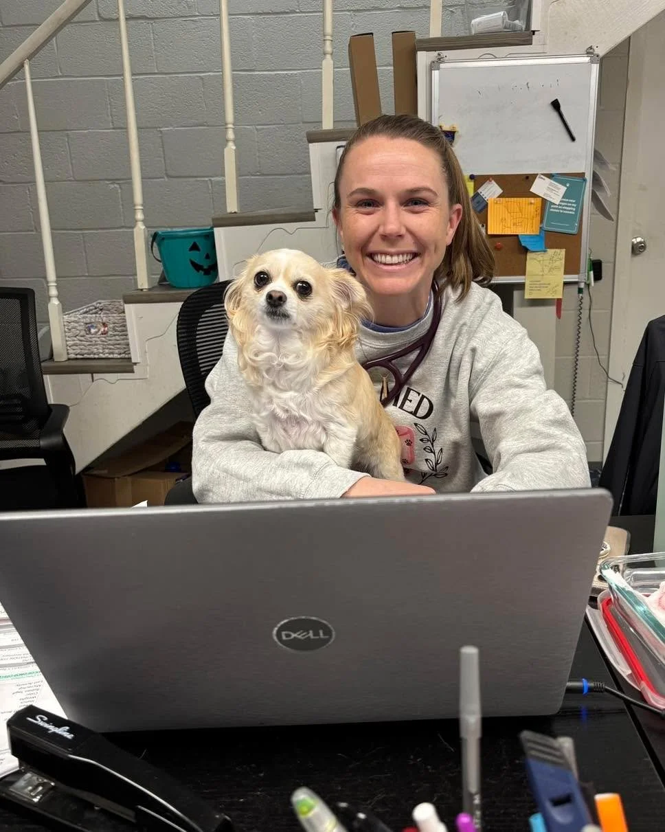 From Daisy&rsquo;s POV, this clinic runs best when she&rsquo;s in someone&rsquo;s lap supervising 🤪