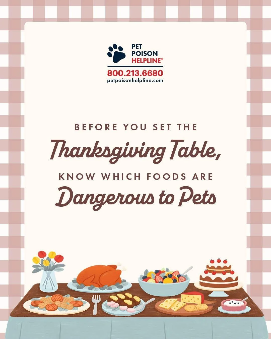 Thanksgiving week is here, and our pets want in on the feast too! 🦃 🐾 🍂 

Just remember: some holiday staples aren&rsquo;t safe. Onions, garlic, grapes/raisins, xylitol, alcohol, unbaked dough, turkey bones, and rich foods can all cause trouble.  