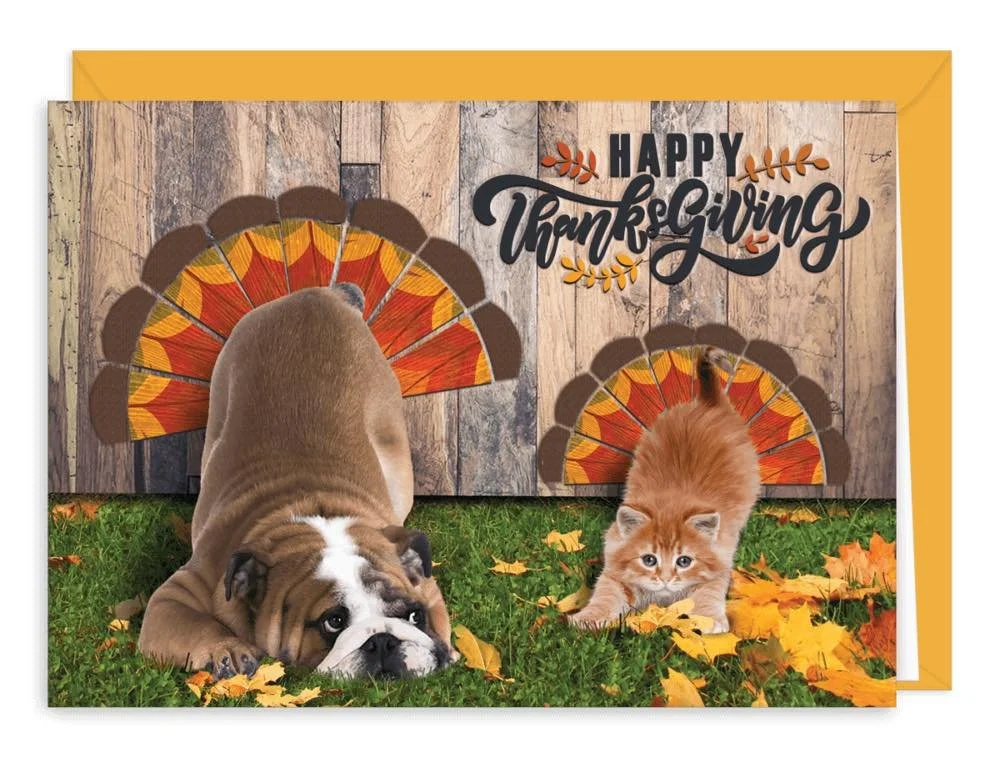 Happy Thanksgiving from Little Woods Animal Hospital! 🧡 We are grateful for our wonderful clients and the pets who fill our days with purpose and joy. Thank you for trusting us with their care. Wishing you a fun, relaxing holiday surrounded by famil