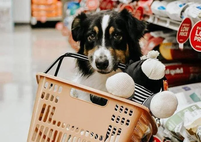 Black Friday steals for pets? We want to see them! Share it in the comments &mdash; your find might be the reason another pet ends up with a new bed or toy today. 🐾 🛍️ 😋