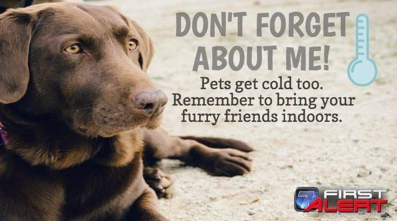 FREEZE WARNING! 🥶 Is Your Pet Ready for the Cold Snap?

With extreme cold temperatures headed our way this week, it&rsquo;s time to double-check that your furry friends are safe, warm, and cared for. Here&rsquo;s how to prepare:

1️⃣ Warm, Dry Shelt