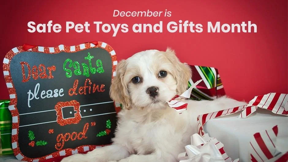 December is Safe Toys &amp; Gifts Month! 🎁 
As you&rsquo;re picking out holiday surprises for your pets, make sure what ends up under the tree is fun and safe.

When choosing toys and chews this season:
✔️ Go for durable materials that won&rsquo;t s