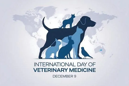 Today we celebrate the incredible professionals who dedicate their lives to keeping pets healthy, comfortable, and thriving.  From routine visits to the toughest cases, veterinary teams show up with knowledge, compassion, and steady commitment every 