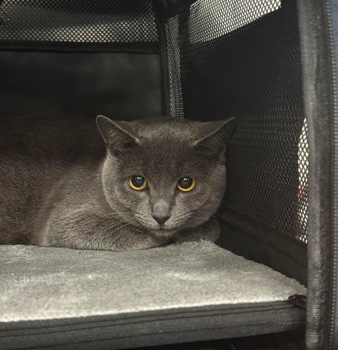 The face you make when you&rsquo;re reconsidering all your life choices&hellip; including today&rsquo;s appointment 🤪