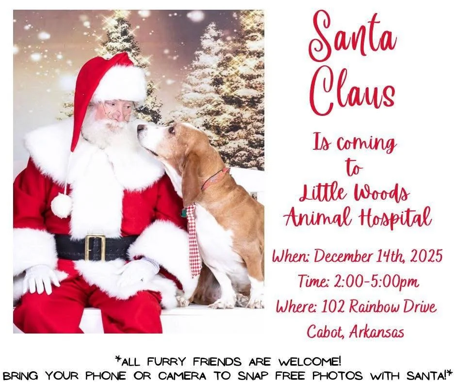 Get ready because Santa Claus is making a special stop at Little Woods Animal Hospital TODAY from 2&ndash;5 PM! 🎄🐾 🎅 

Bring your furry, feathered, or scaly friends for their magical moment with Santa &mdash; all animals are welcome, not just dogs