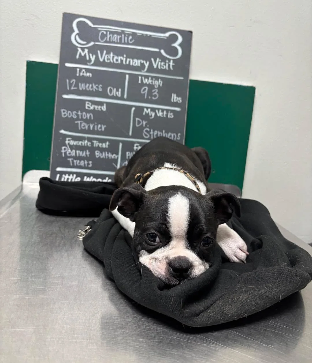 Proof that being brave is exhausting 🥱