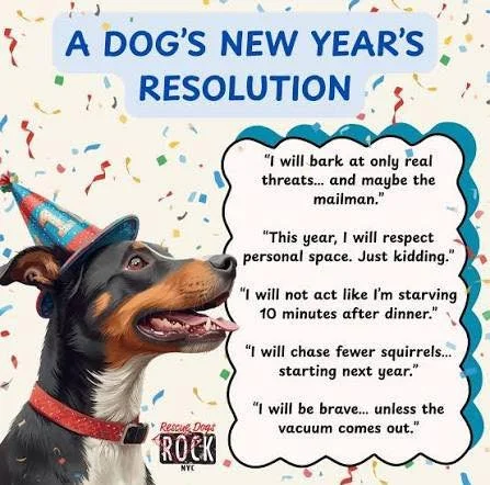 Looking ahead to 2026, we&rsquo;re feeling incredibly thankful and excited for the year to come! ✨

Thank you to our clients for trusting us with your pets and for the love and care you give them every single day. We&rsquo;re honored to be part of th