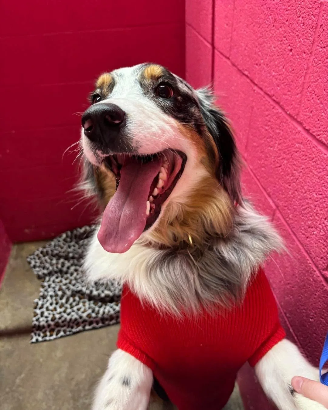 Walking into 2026 like this 😁