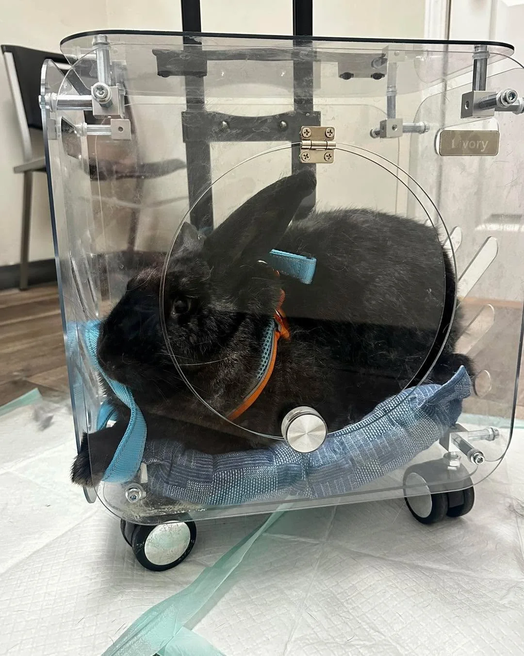 When your Uber is vet-approved ☑️