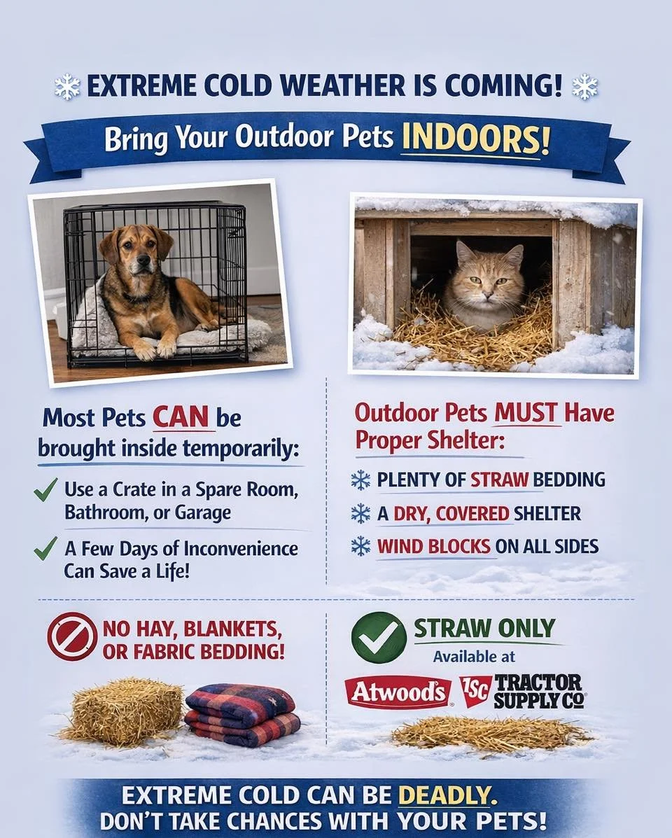 ❄️ Extreme Cold Weather Is Coming &mdash; Please Plan Ahead for Your Pets ❄️

With arctic temperatures approaching, this is not the time to assume pets will be okay without extra care. Many pet owners feel they can&rsquo;t bring pets indoors, but in 
