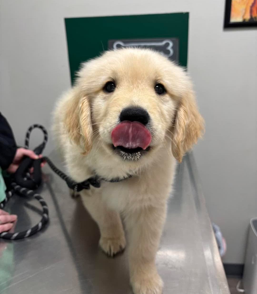 Taste test in progress&hellip; results pending 🧐