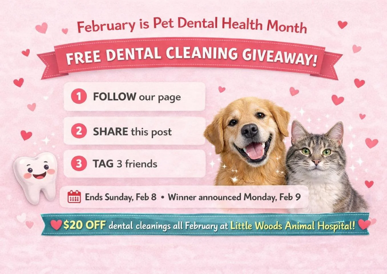 🦷 February is Pet Dental Health Month! 🦷

We&rsquo;re kicking things off with an exciting giveaway&mdash;a FREE dental cleaning for your furry friend! 

Here&rsquo;s how to enter:
✔️ Like/Follow our page
✔️ Share this post
✔️ Tag 3 friends in the c