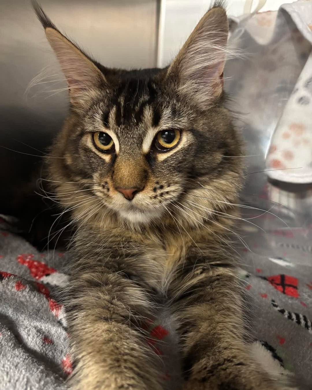 Watching. Waiting. And judging&hellip; just a little 👀