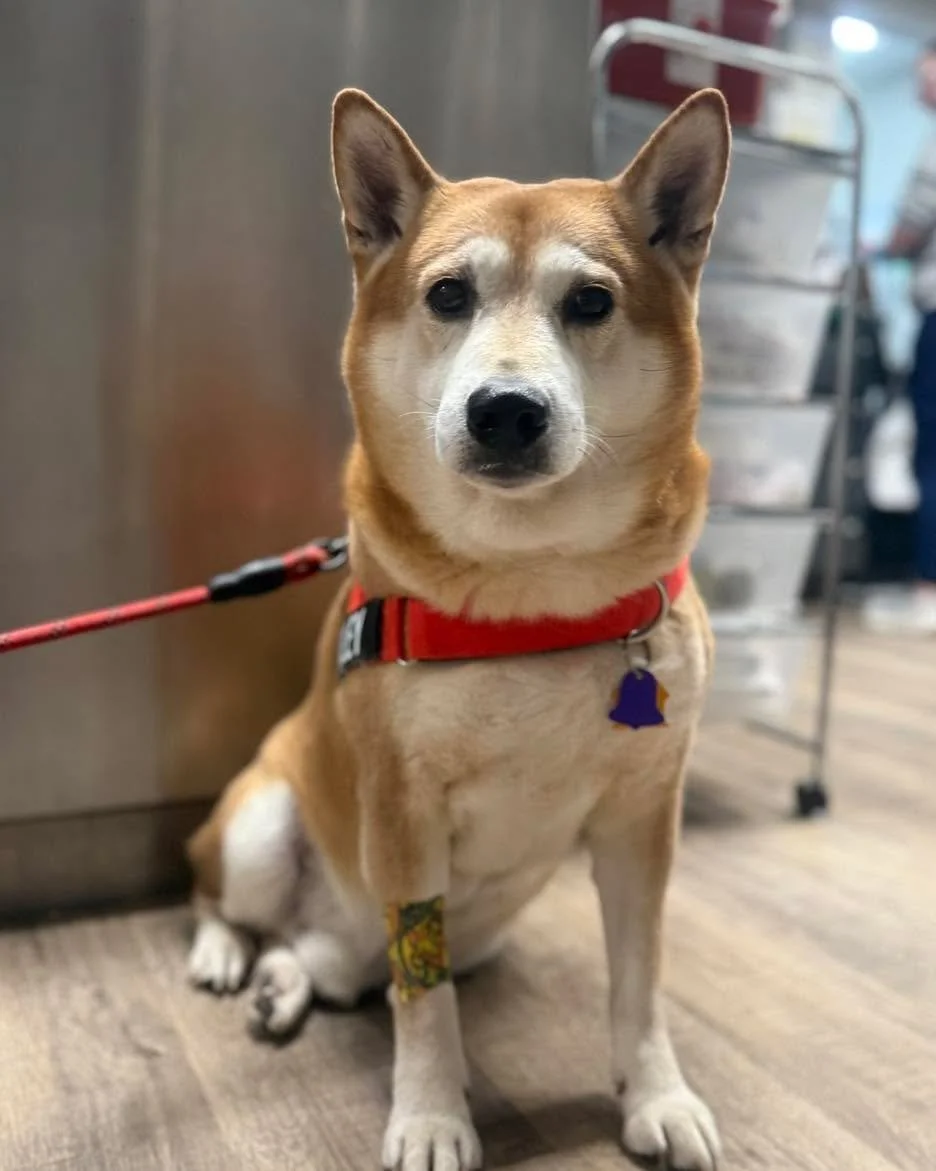 ✨ A face like this deserves the spotlight ✨