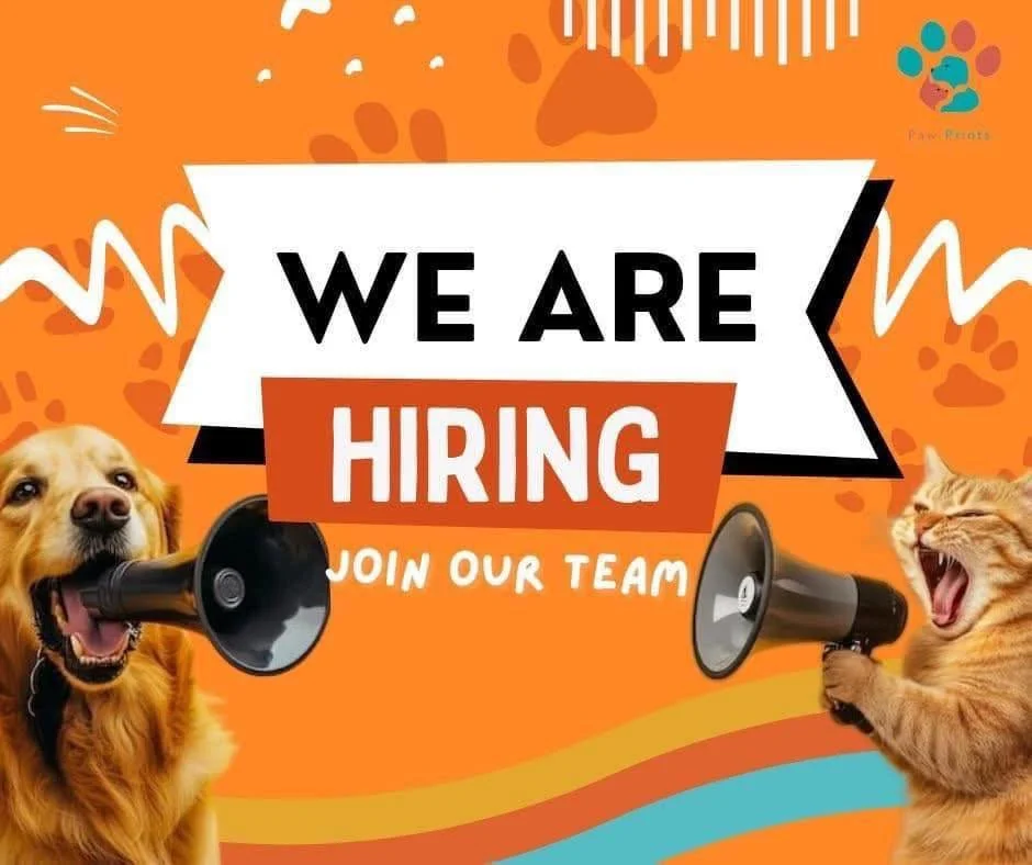 📣 🐾 Little Woods Animal Hospital is looking to add an experienced Veterinary Receptionist to our team. 📣 🐾 

This is a full-time position offering health insurance, 401(k), PTO, and paid holidays in a supportive clinic environment.

📧 Apply at l