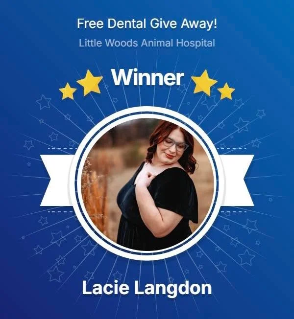 🦷✨ And the winner of our Pet Dental Health Month Giveaway is&hellip; ✨🦷

🥁🥁🥁

Lacie Langdon!!! 🎉🐾

Congratulations!! We can&rsquo;t wait to help your pup get that fresh, clean smile. Give us a call so we can get you on the schedule!

To everyo