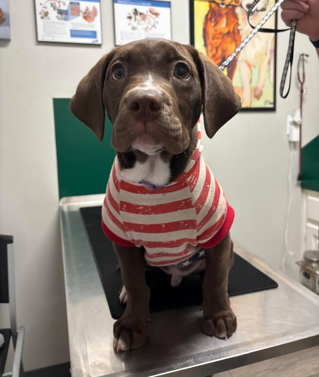 We love watching our littlest patients start their journey to a healthy life right here ❤️