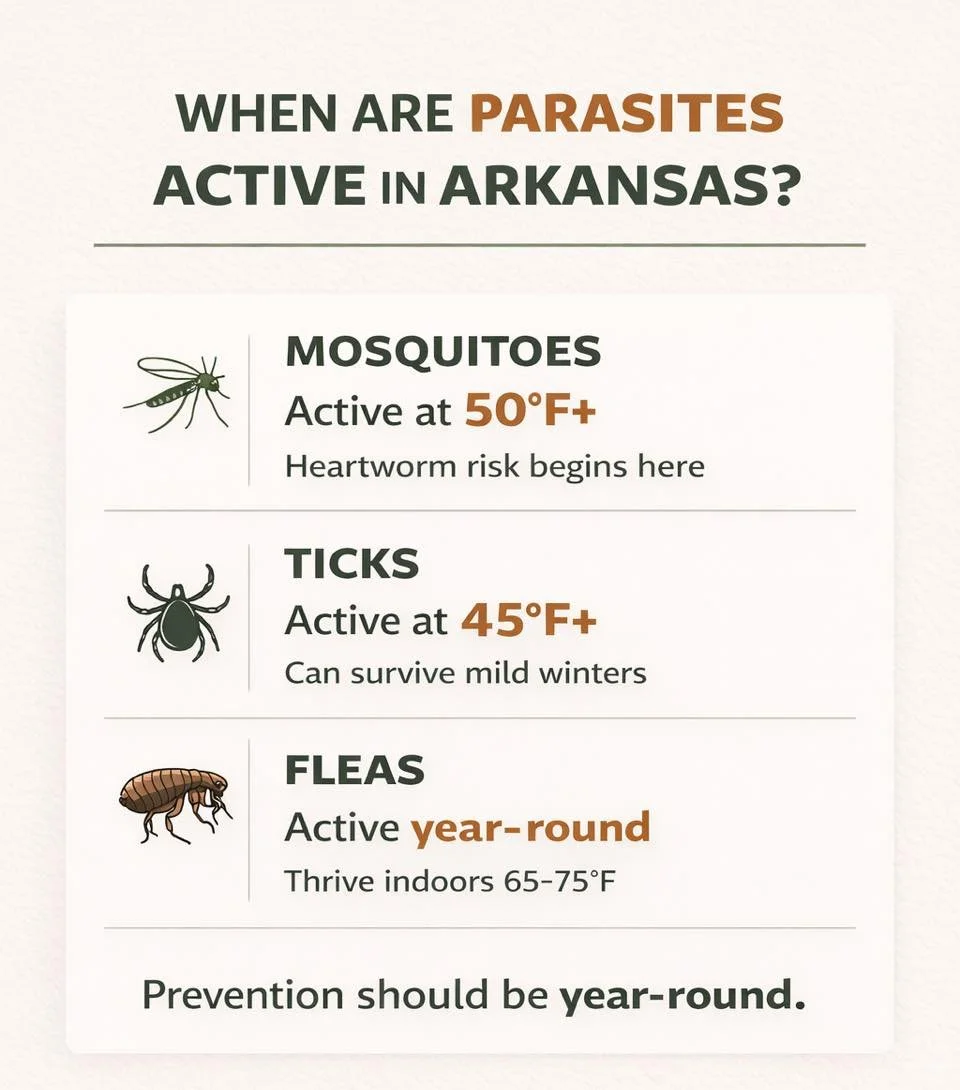 MONDAY MYTH BUSTER: &ldquo;It&rsquo;s Still Cold&hellip; My Pet Doesn&rsquo;t Need Prevention Yet.&rdquo;

Just because it&rsquo;s not blazing hot outside doesn&rsquo;t mean parasites are taking the season off.

🦟 Mosquitoes (heartworms) become acti