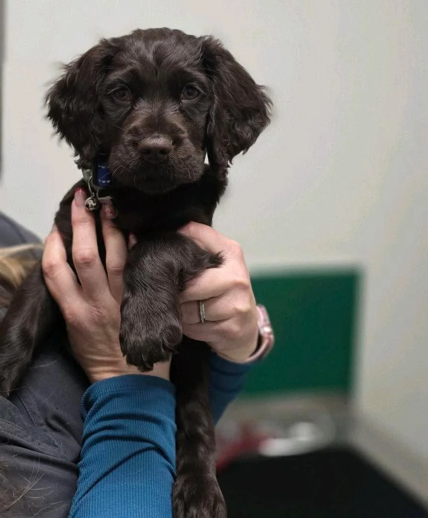 Just a baby&hellip; pretending to be brave about it. 🐾🥹