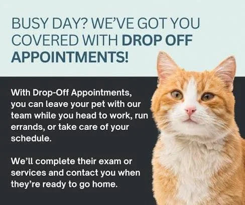 🐾 Busy Day? We Offer Drop-Off Appointments! 🐾

We offer drop-off appointments for your convenience!

Drop your pet off in the morning, our doctor will complete the exam and call you with updates, and you can pick up later that day.

Same great care