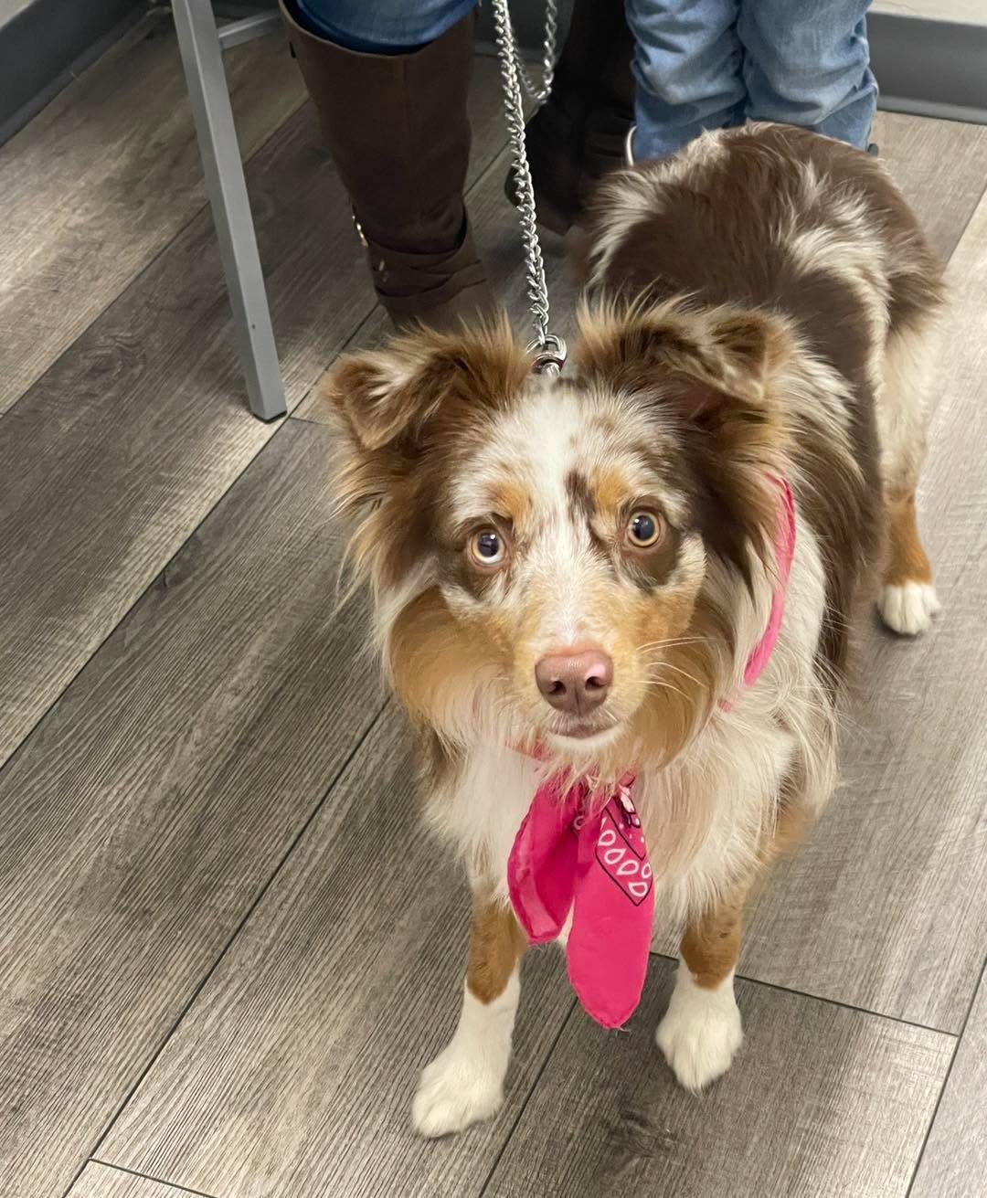 If &ldquo;excuse me, I&rsquo;m the cutest one here&rdquo; was a patient 💓😍