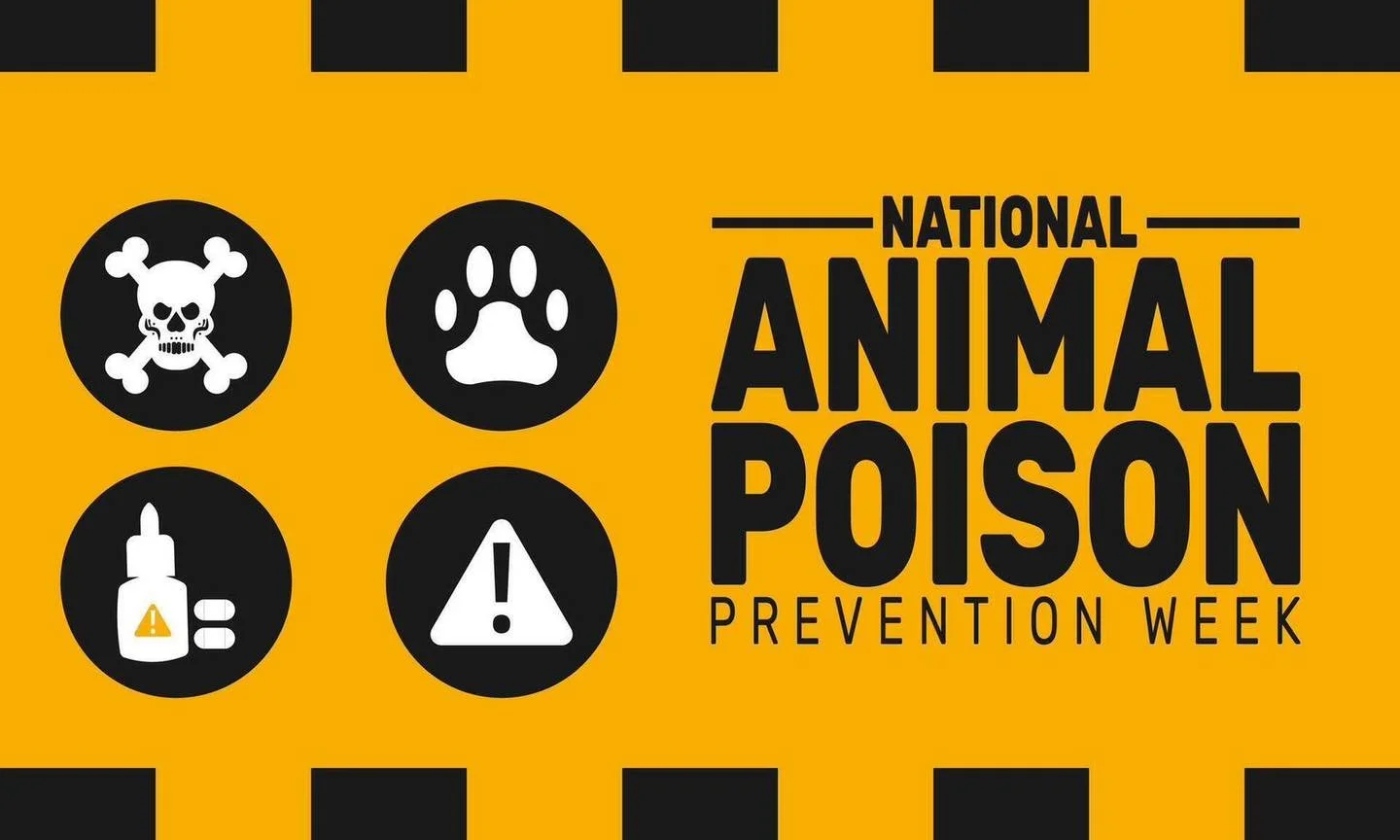 🚨 ⚠️ It&rsquo;s National Pet Poison Prevention Week ⚠️ 🚨 

Each year, toxic exposures are one of the leading causes of emergency veterinary visits &mdash; and many of them happen inside the home.

Throughout the week, we&rsquo;ll be highlighting co
