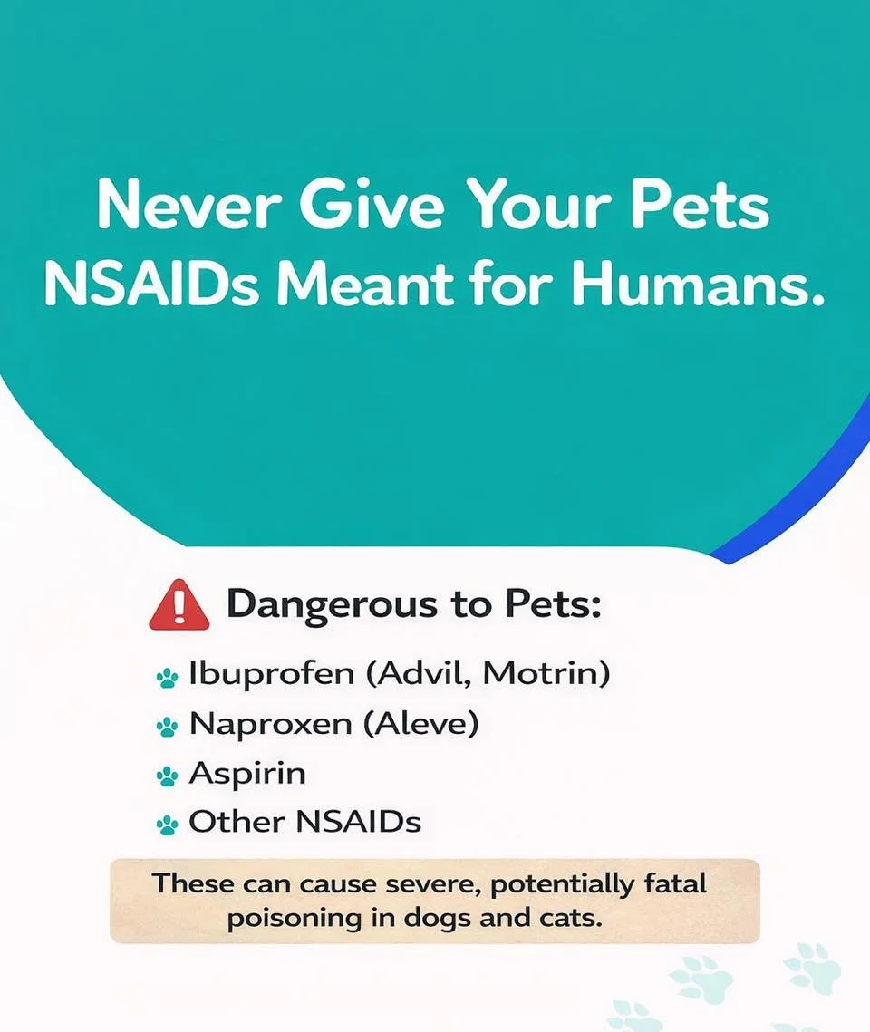 Poison Prevention Week: Day 1 &mdash; Human Pain Medications ⚠️

Today we&rsquo;re highlighting one of the most common toxicities we see in dogs and cats: human over-the-counter pain medications.

Medications like ibuprofen (Advil, Aleve, Motrin) and