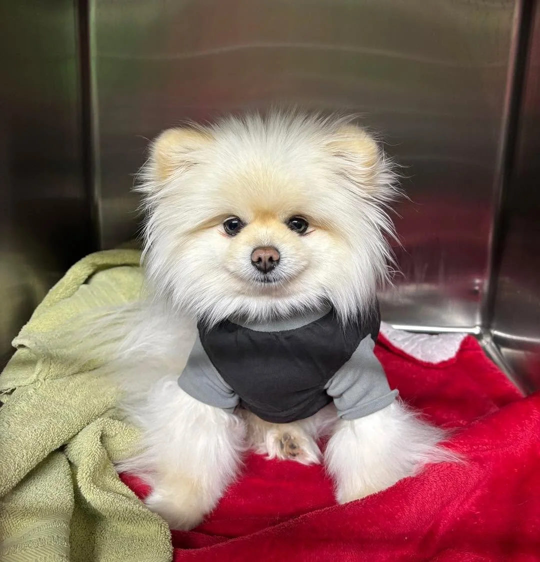 We don&rsquo;t pick favorites&hellip; but 👀