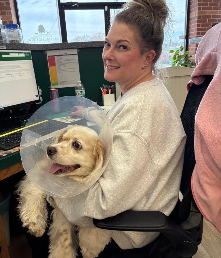 Sometimes recovery means rest&hellip; sometimes it means being held by Ami all morning 🐶✨