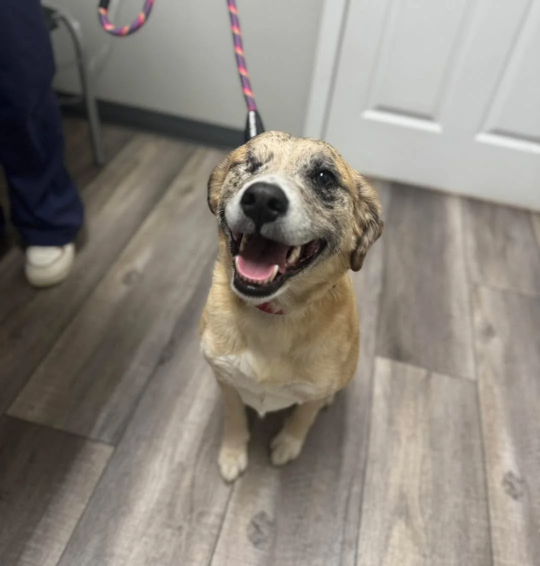 A built-in wink and a whole lot of happy 😄 💕