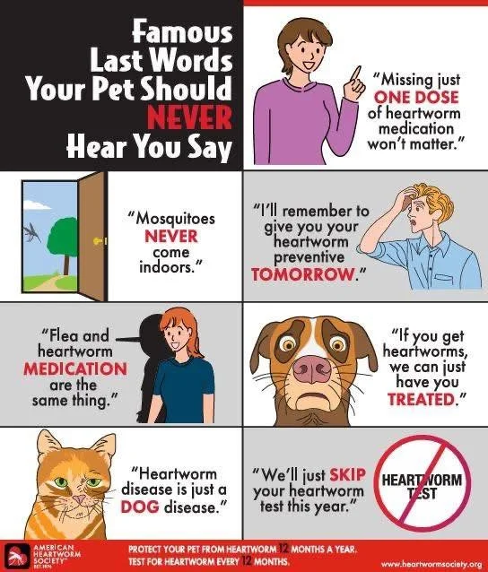 ❤️ April is Heartworm Awareness Month 🐾

Heartworm disease is serious&mdash;but it&rsquo;s also preventable. Mosquitoes spread heartworms, putting both dogs and cats at risk right here in Arkansas.

✔️ Keep your pet on monthly prevention
✔️ Stay up 