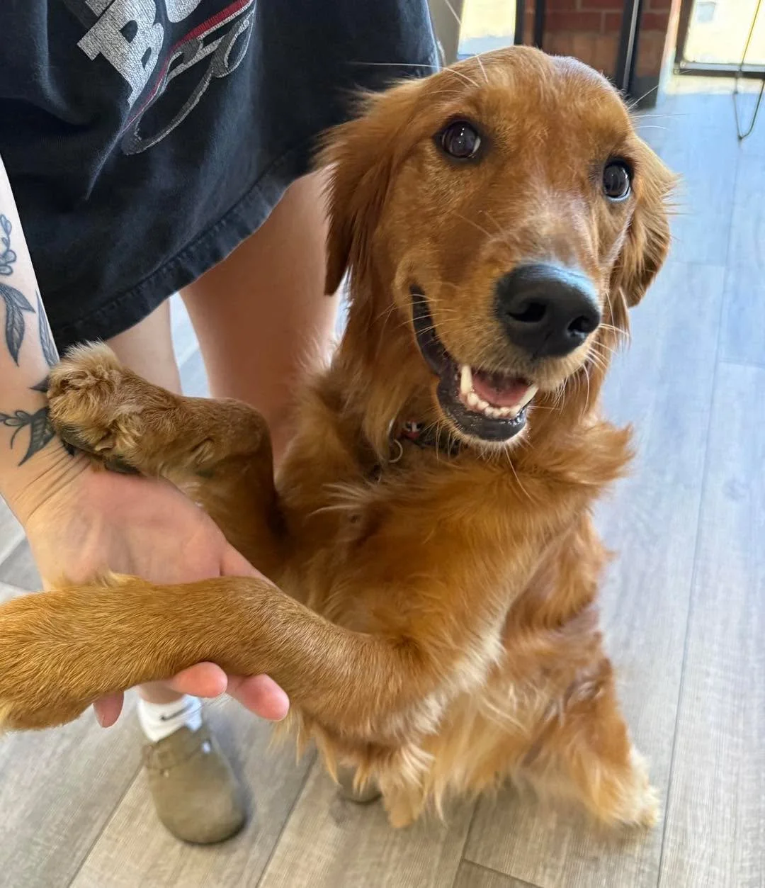 Making friends is part of the treatment plan 😏 ✨