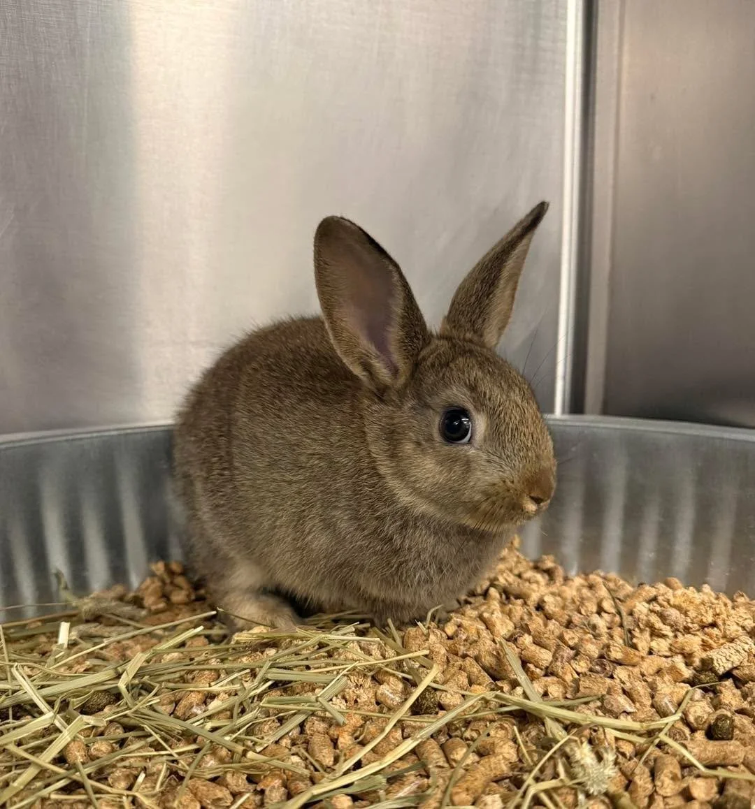 Everyone say hi to Peter 😍