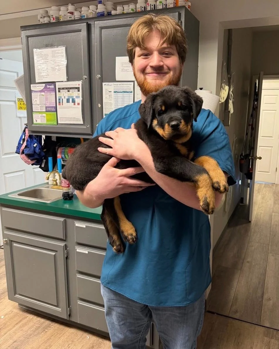 So excited to share this!! 🎉

Gavin, one of our technicians, has been accepted into the very first veterinary class at Arkansas State University!

Our relationship with Gavin started back in 2023 when he came to shadow and get some hours. Little did